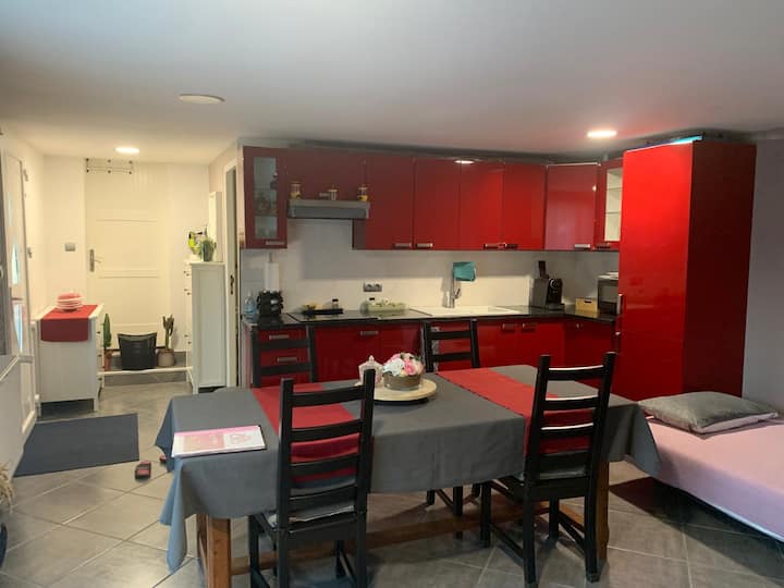 Studio Privé Mitoyen à Un Pavillon Sans Vis à Vis. - Saint-Witz