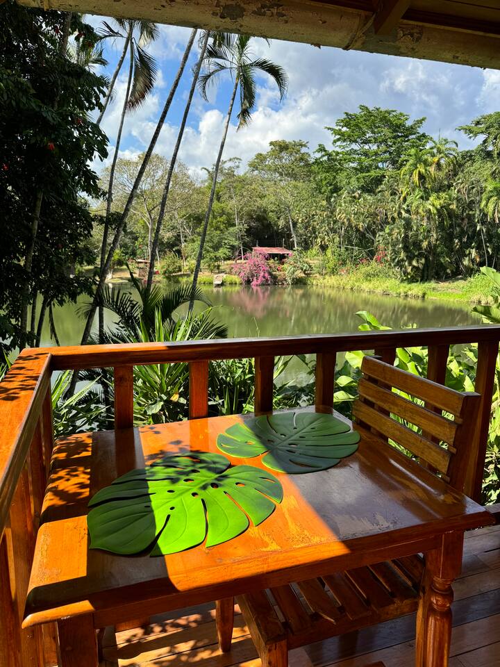 Comedor imagen 1