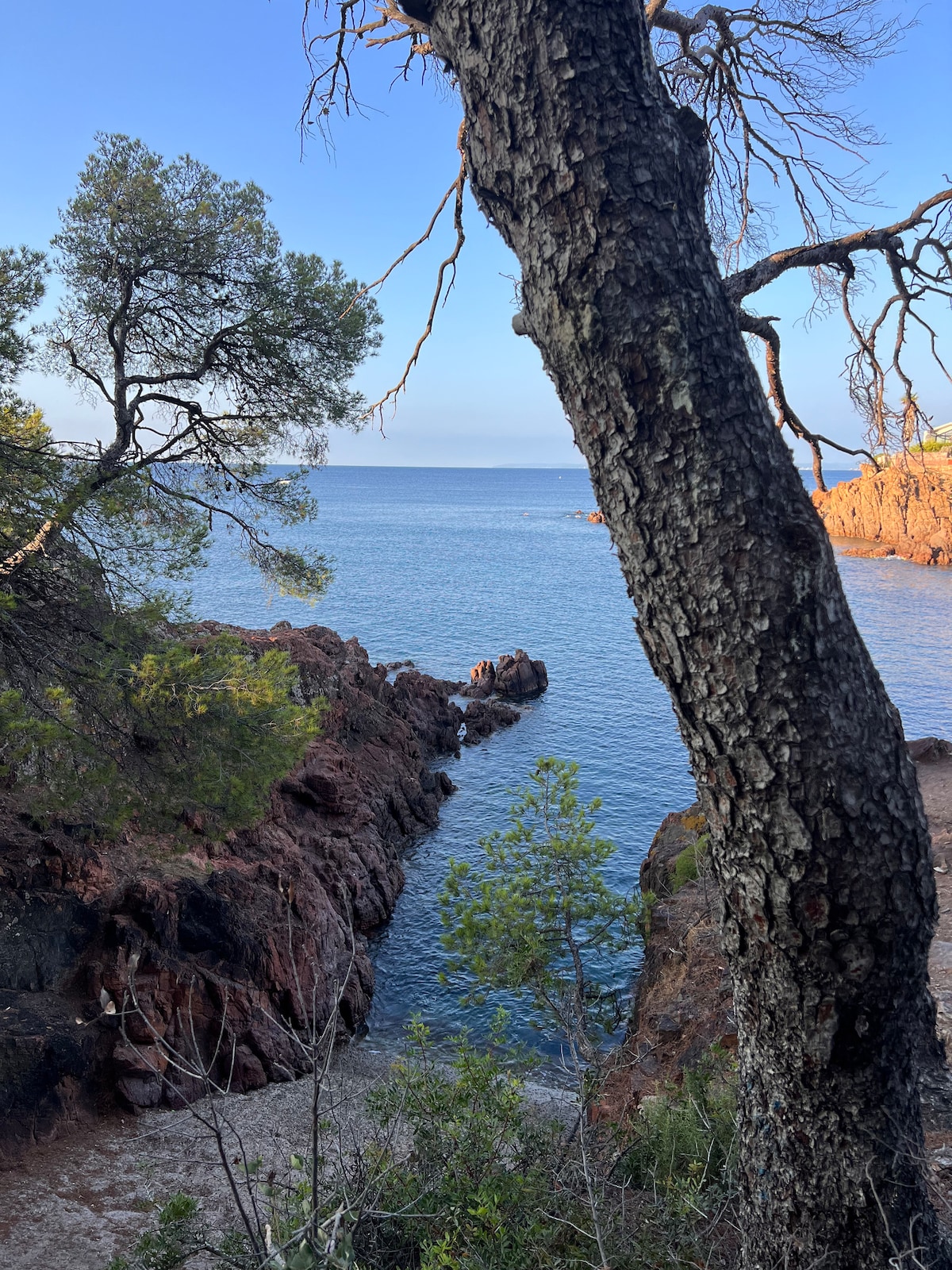 A tranquil coastal view is framed by a large tree, revealing rocky shoreline and calm blue waters. The surrounding greenery adds a natural touch, enhancing the serene atmosphere of the location. The distant horizon meets the sky, creating a peaceful blend of colors.