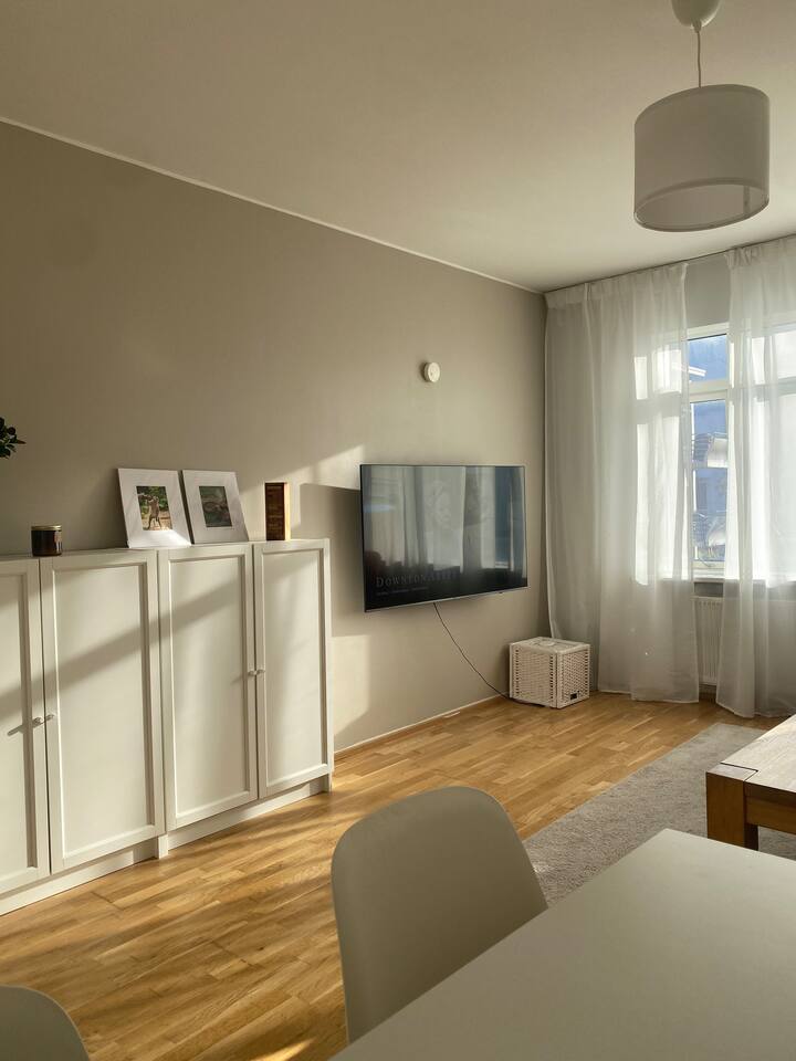 Well Located 2-bedroom Condo With A Balcony - Reykjavik