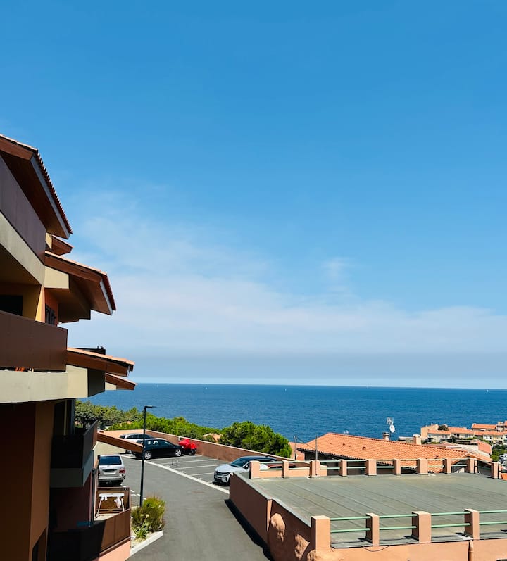 Collioure, Vue Mer, Terrasse, Parking, 5min Plage - Collioure