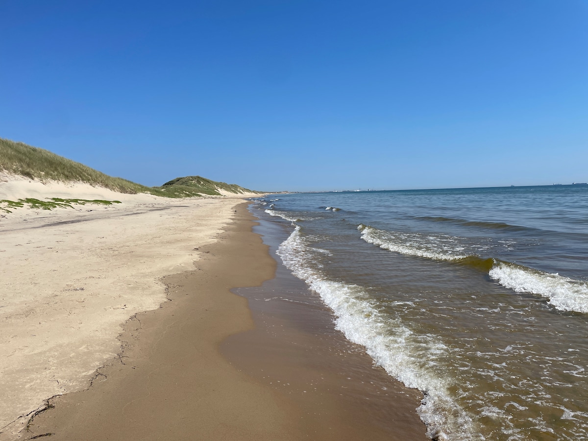 The serene beach is framed by gentle sand dunes and stretches along the shore. Soft waves lap against the sandy coastline under a clear blue sky, offering a peaceful atmosphere. Sparse vegetation can be seen along the dunes, creating a natural setting.