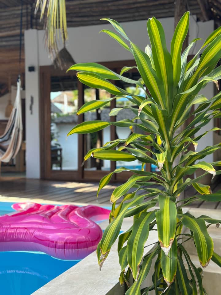Gartenblick vom Schlafzimmer in der YapYap Villa, Paje, Zanzibar