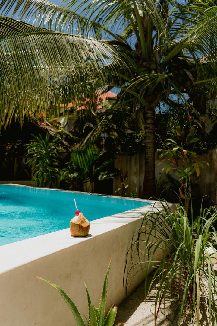 Kokosnuss am Pool in der YapYap Villa, Paje, Zanzibar