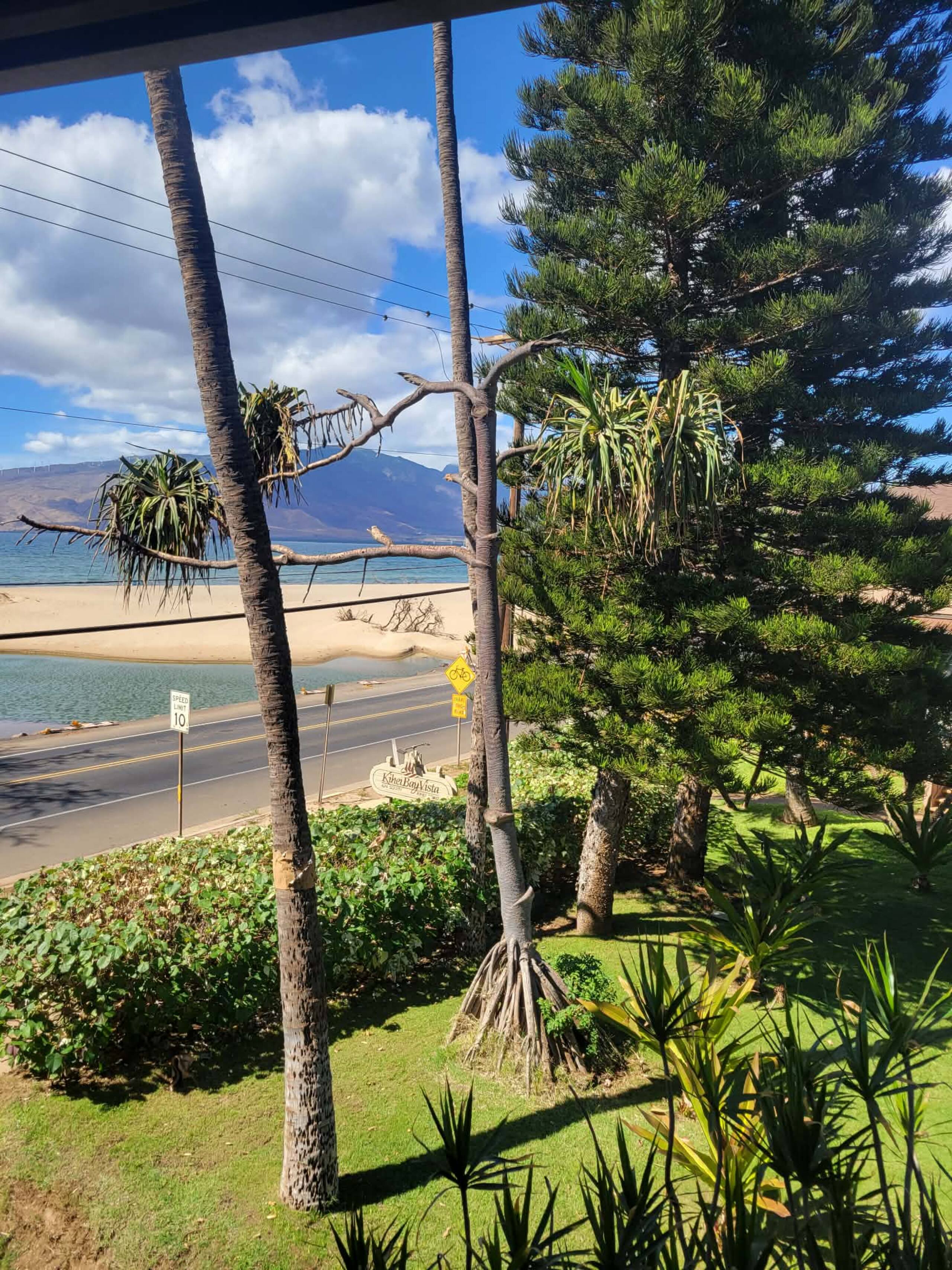 Condo in Kihei · ★4.96 · 1 bedroom · 2 beds · 1 shared bath - Image 68