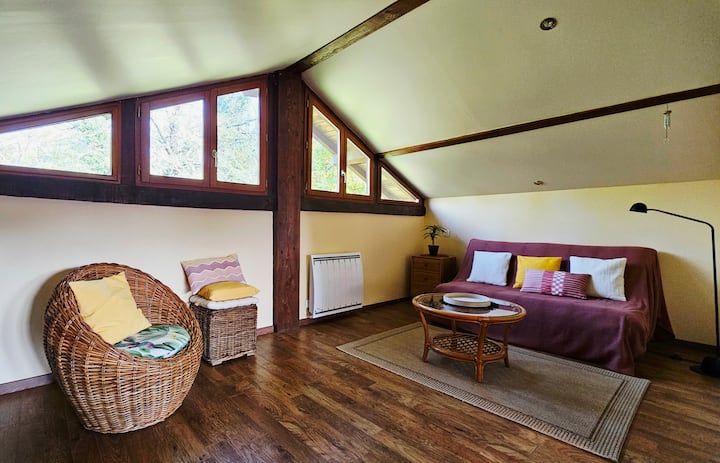 Grange Dans La Forêt Landaise - Landes