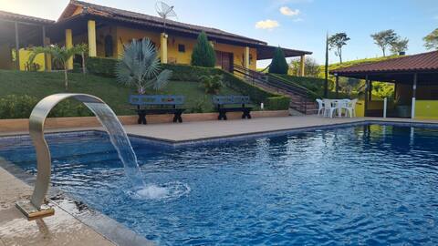 Coconut palm grove