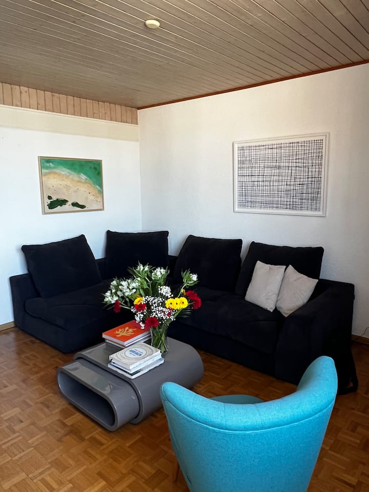Great One Bedroom Flat With Magnificent Lake View - Ginebra