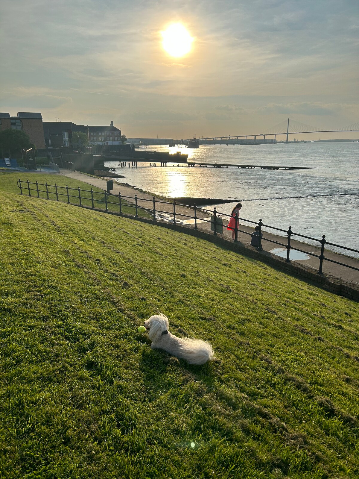 A grassy area slopes gently towards a shimmering waterfront, where distant figures can be seen enjoying the scene. A small dog lies on the grass, with a bright sun casting a golden hue over the landscape and water, creating a serene atmosphere.