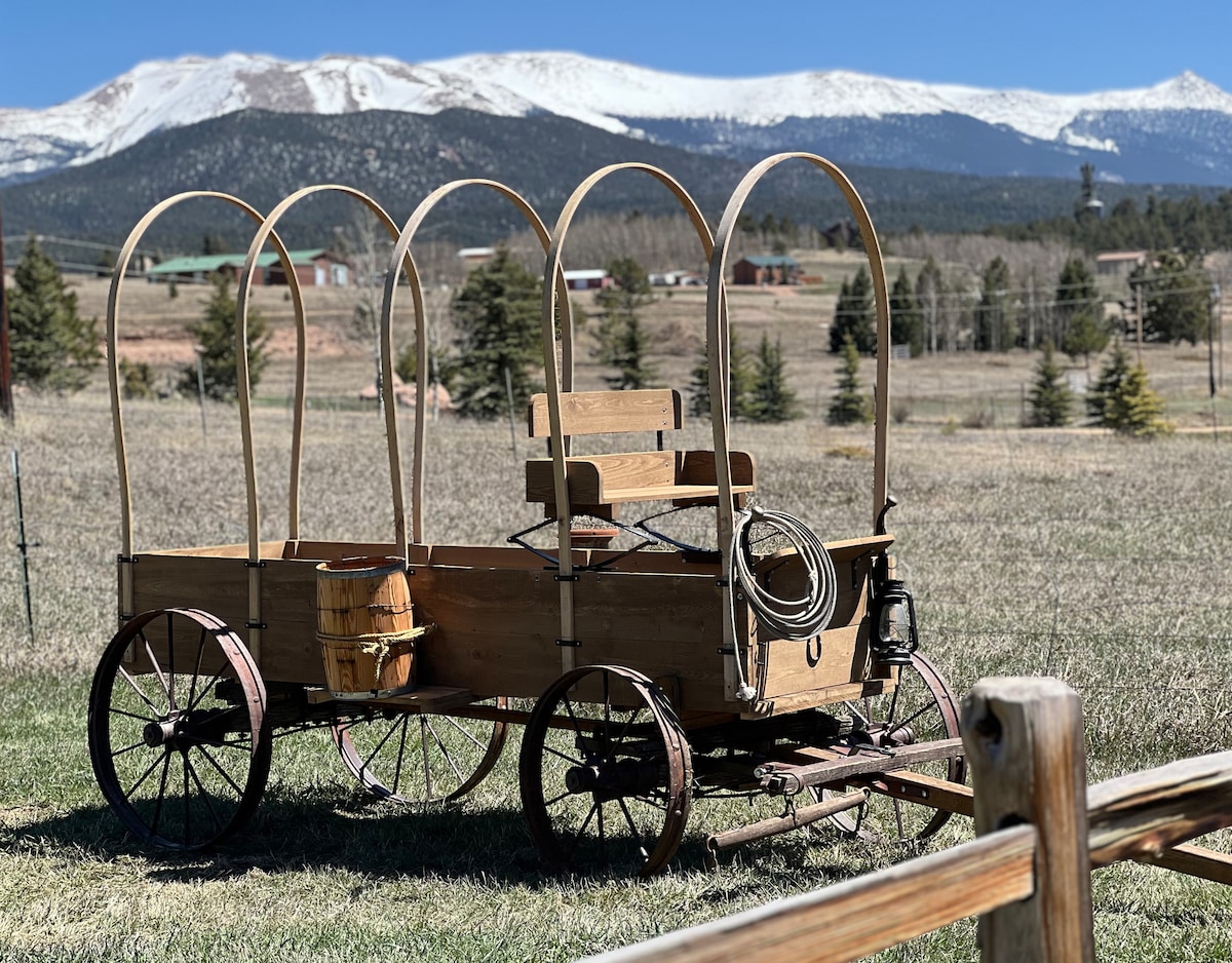 Delightful Retreat Mtn View & Sauna on 43 acres Cabins for Rent in