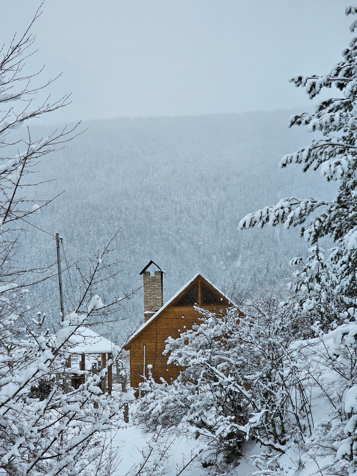 A cozy cottage is nestled among snow-covered trees, surrounded by a winter landscape. The cottage features a prominent chimney, and its wooden exterior contrasts with the white snow. A distant forested mountain is visible, shrouded in a gentle mist.