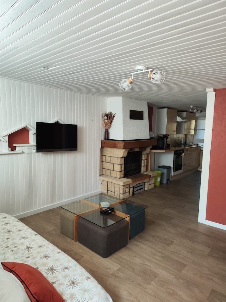 Maison D'aurélie Maisonnette 4/6 Pers En Auvergne - Thiers