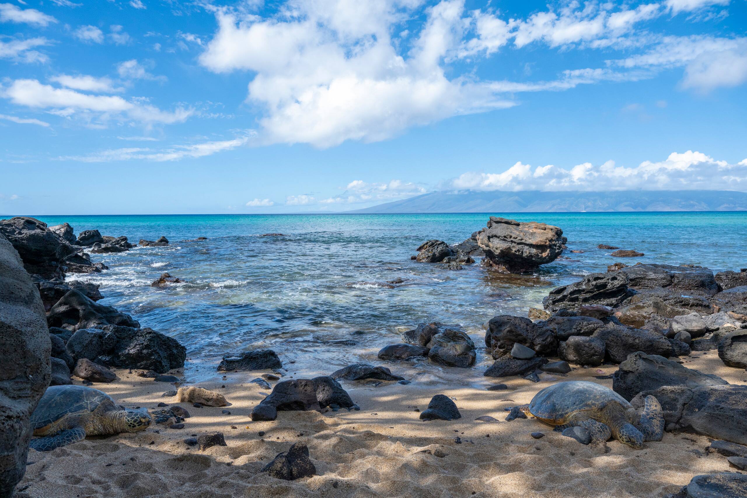 Condo in Lahaina · ★4.95 · 1 bedroom · 2 beds · 1 bath - Image 24