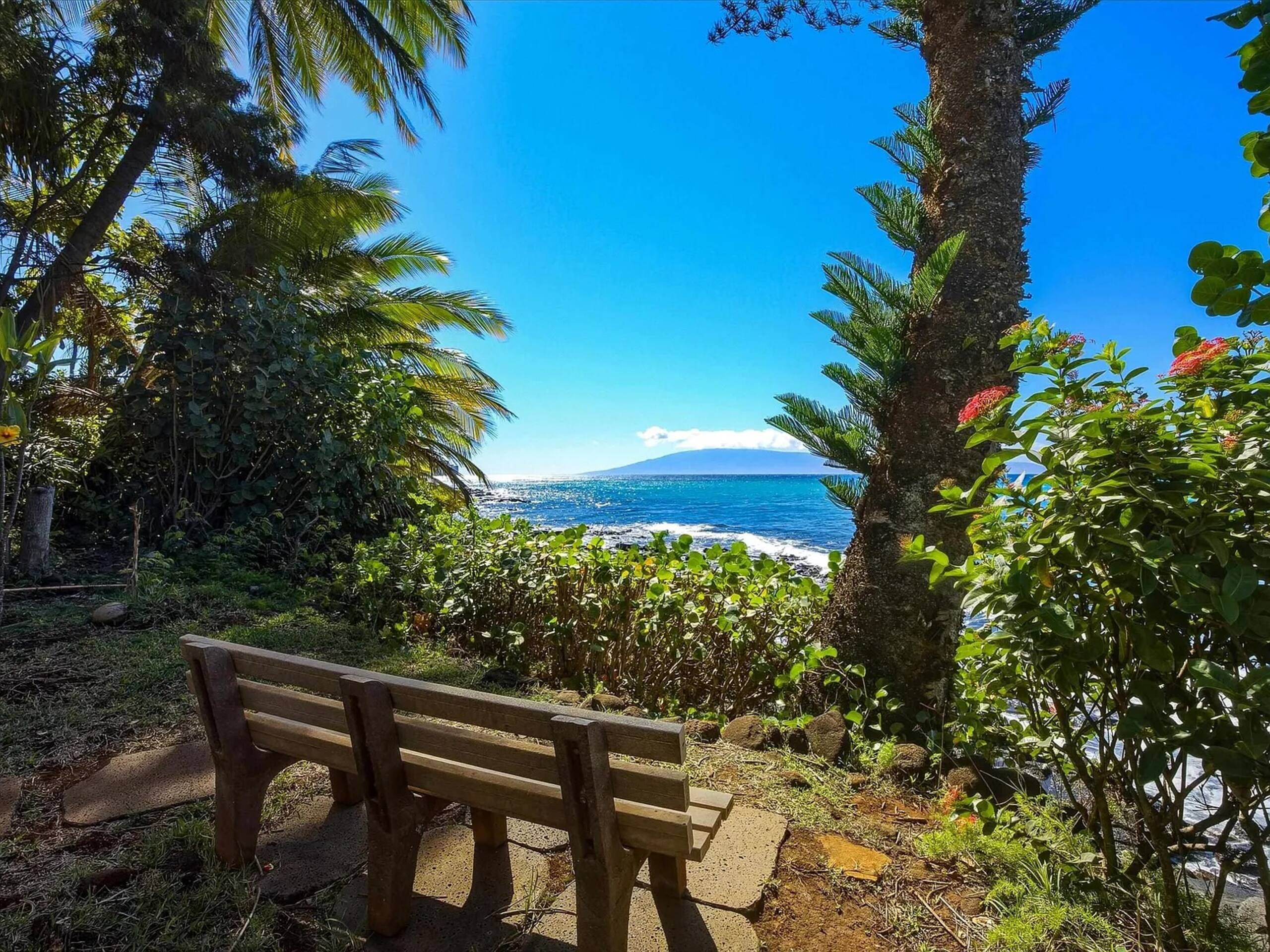 Condo in Lahaina · ★4.95 · 1 bedroom · 2 beds · 1 bath - Image 28