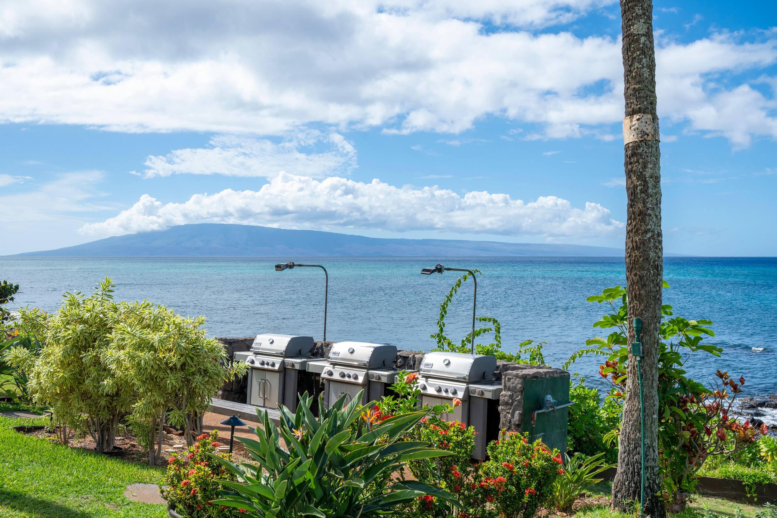Condo in Lahaina · ★4.95 · 1 bedroom · 2 beds · 1 bath - Image 29