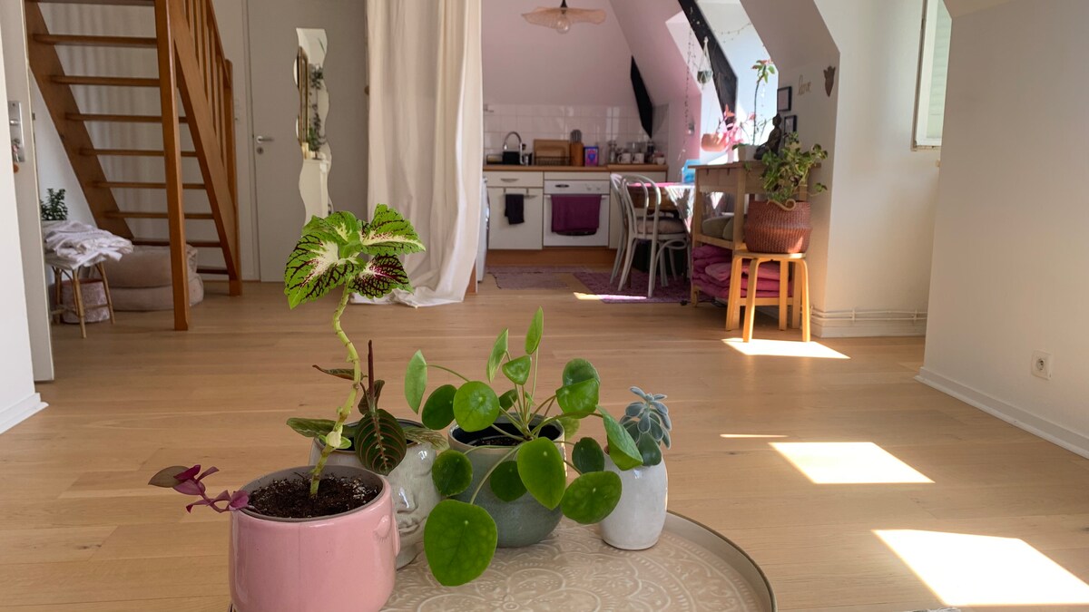 Airbnb performant: Rennes Thabor duplex apartment à Thabor Saint Hélier Alphonse Guérin