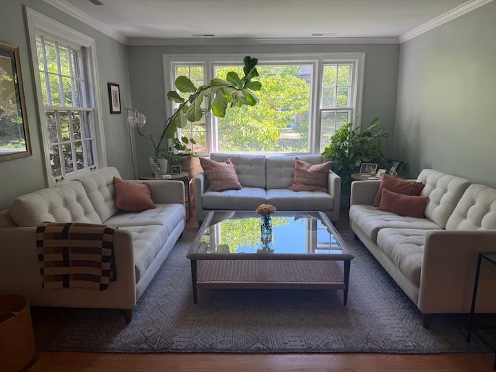 5 Bedroom Charmer - Walk To Uva! - Charlottesville, VA