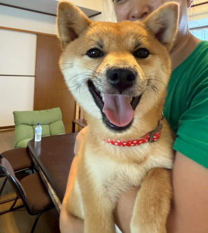 Yufu Child Farm】Family welcome farm stay - Huts for Rent in Yufu