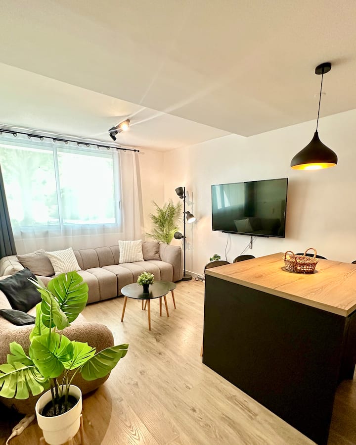 Bel Appartement 4 Chambres Proche Vieux Lille - Lila