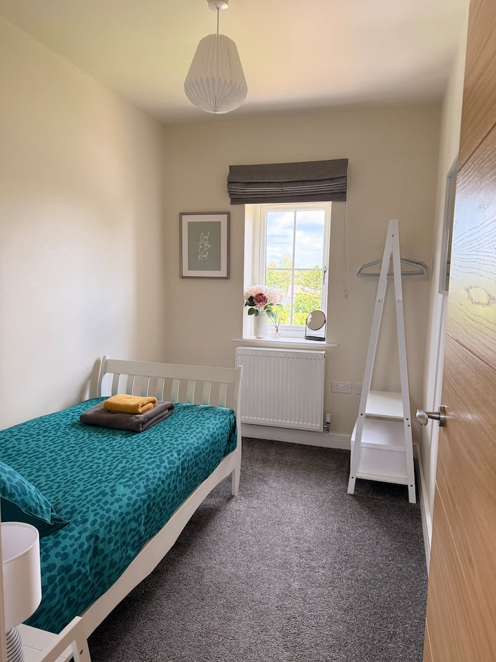  Our single bedroom with Farrow and Ball feature wall; a new addition for 2026, has a mirror, hanging rail, small bedside table with lamp and bedroom blind.