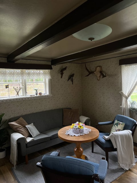 Successful Airbnb property: Dalsland cottage near the water in Mellerud