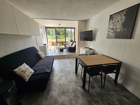 Successful Airbnb property: Apartment 6 people, snow front, wifi, La Joue du Loup in Dévoluy