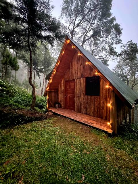 Family cabin in the mountains