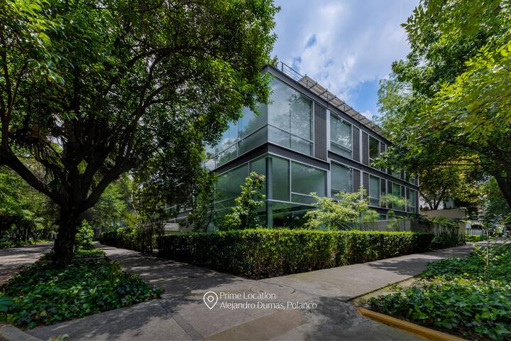 Capitalia | Terrace + Speed Wifi | Explore Polanco gallery image 5