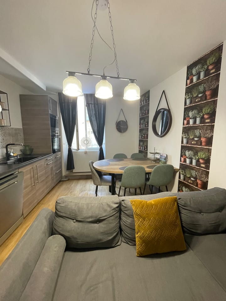 Grand Appartement Moderne Au Centre-ville, 65 M2 - Semur-en-Auxois