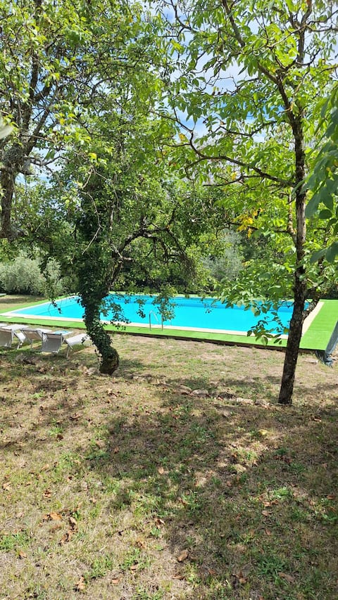 Historic villa, Park,pool, 8p, Florence hill, petf