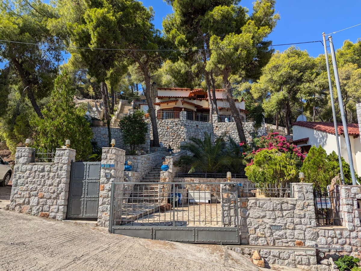The stone house is set amidst a lush, natural landscape with tall pine trees casting shadows. A decorative gate leads to a well-kept pathway, surrounded by greenery and flowers, leading to the entrance of the home, which features a welcoming terrace.