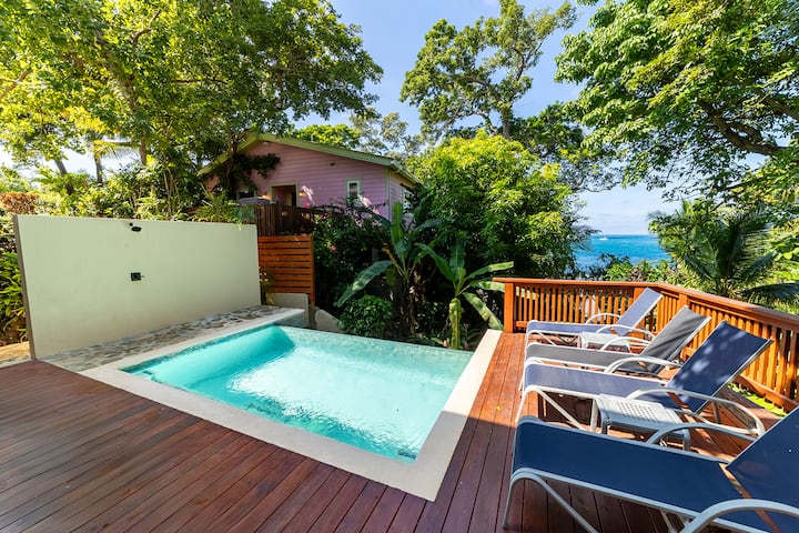 Slice of Paradise- Beachside Beyond Expectations - Houses for Rent