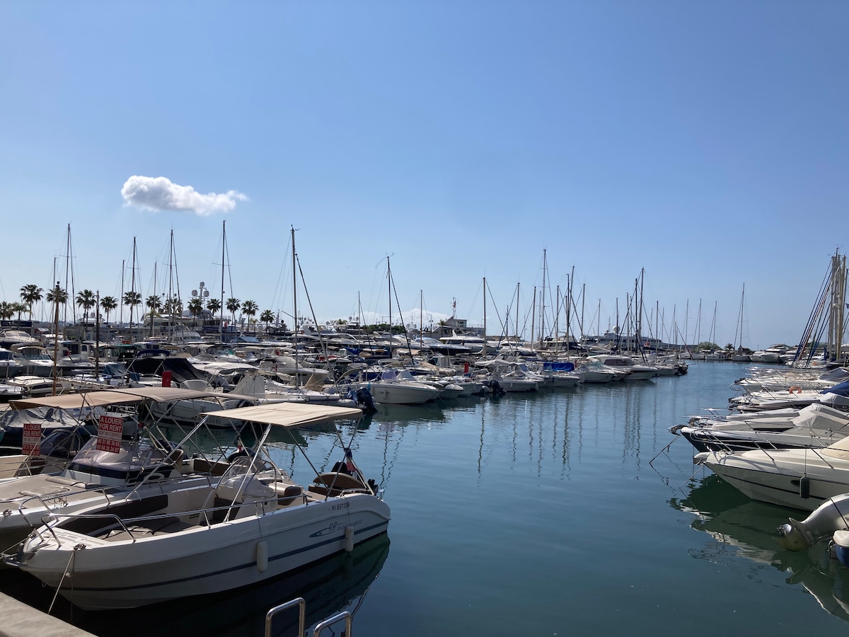 The image displays a marina filled with numerous boats anchored in calm waters. In the background, palm trees line the waterfront, contributing to a coastal ambiance. The clear blue sky reflects in the water, creating a serene setting.