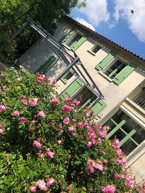 Guest House -Chez Dames Grenouilles