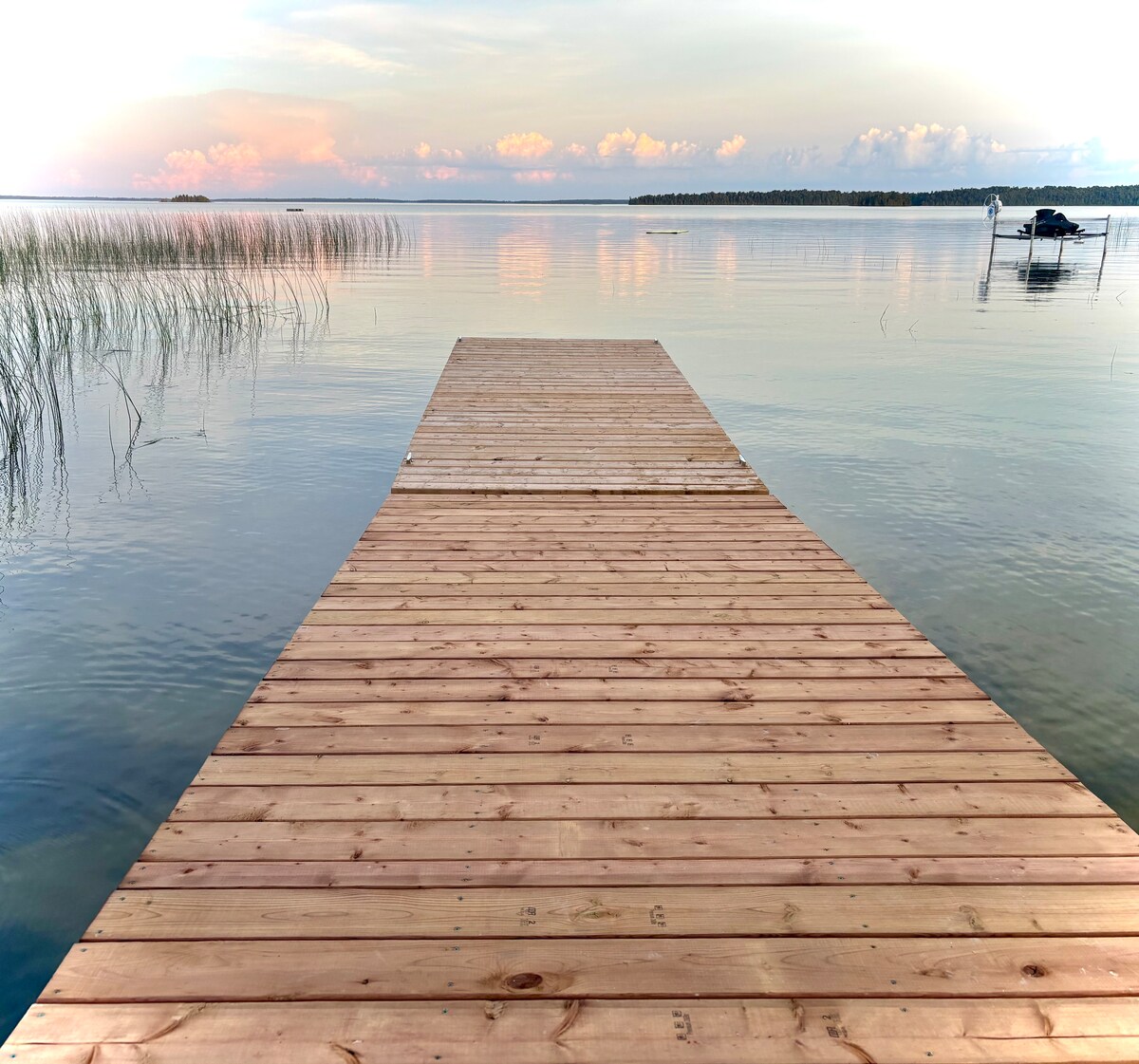 A wooden dock extends into calm waters, reflecting the soft colors of the sky. Tall grasses line the water's edge, while the horizon features distant tree line under a partially cloudy sky.