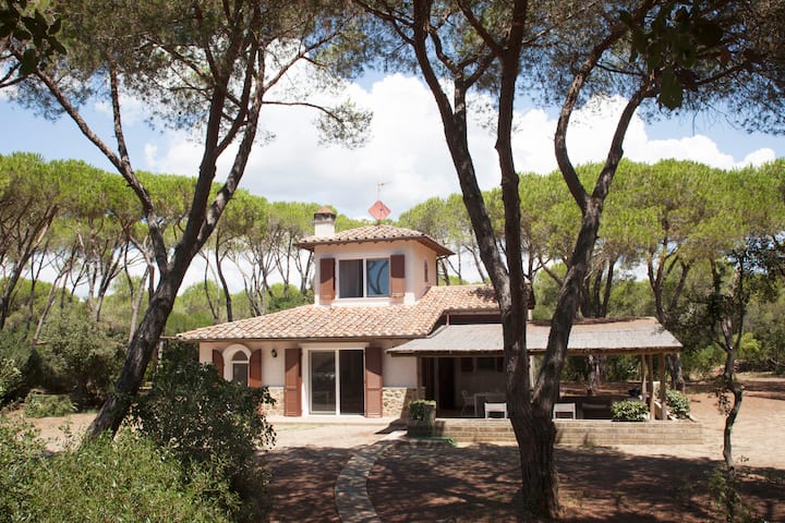 Villa in pine forest by the sea
