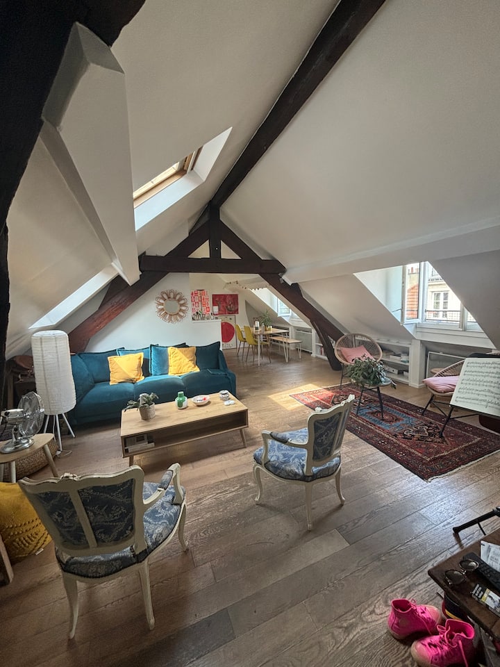 Charmant Appartement Parisien - Paris