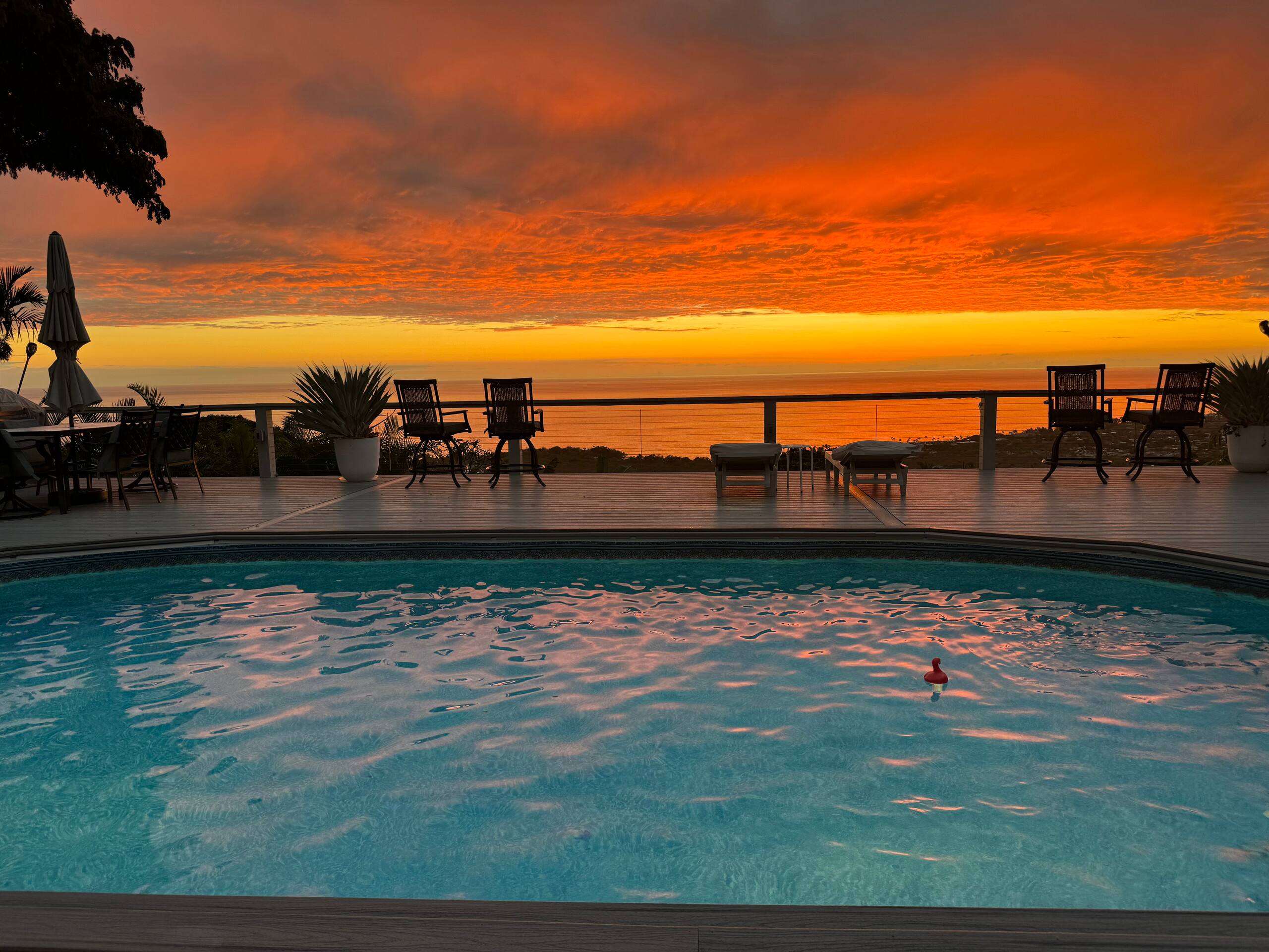 Bungalow Beauty Oceanview + Poolside - Photo 17
