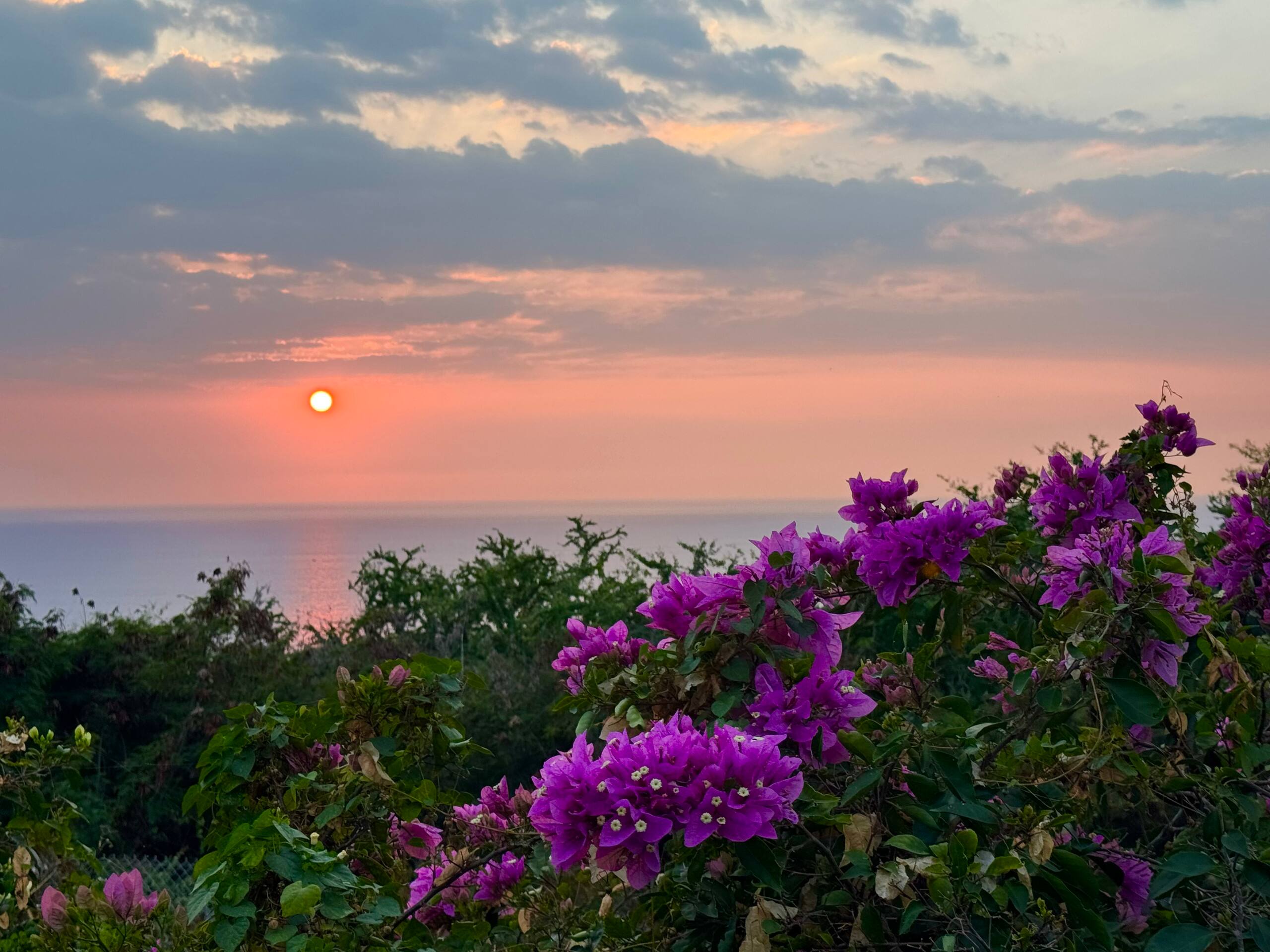 Bungalow Beauty Oceanview + Poolside - Photo 41