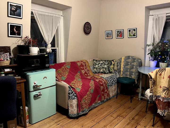 Cozy Apartment On Residential Street In Harvard Sq - Cambridge, MA