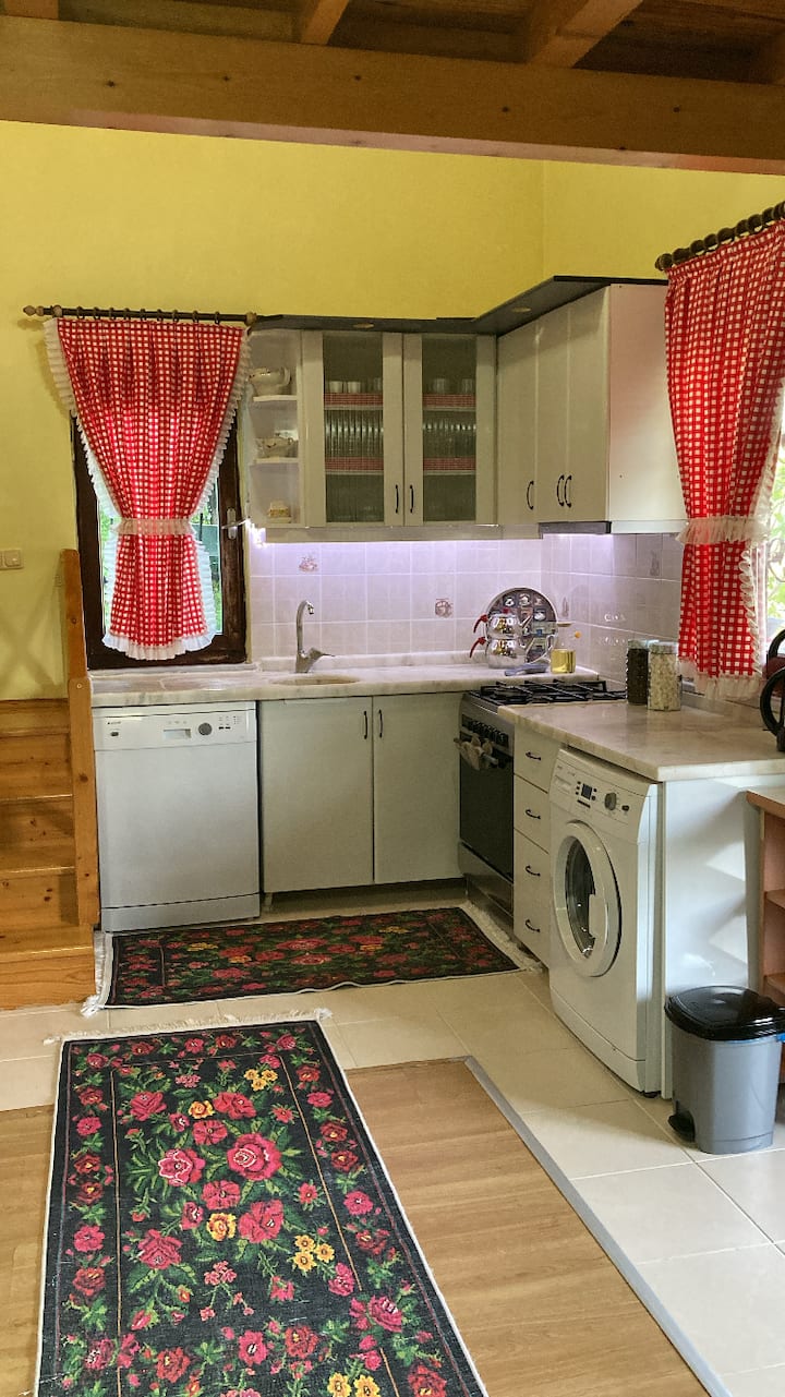 Doğayla Iç Içe Müstakil Akasya Villa - Trabzon