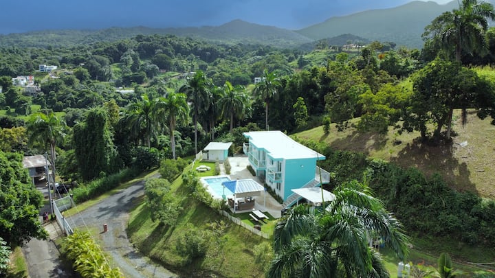 Jungle Retreat • Corazón De El Yunque Rainforest - Porto Rico