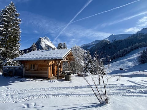Mountain cabin with hot tub