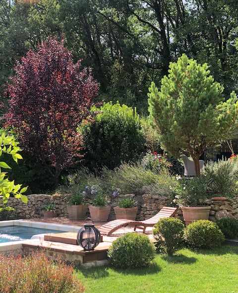 House on the edge of the woods