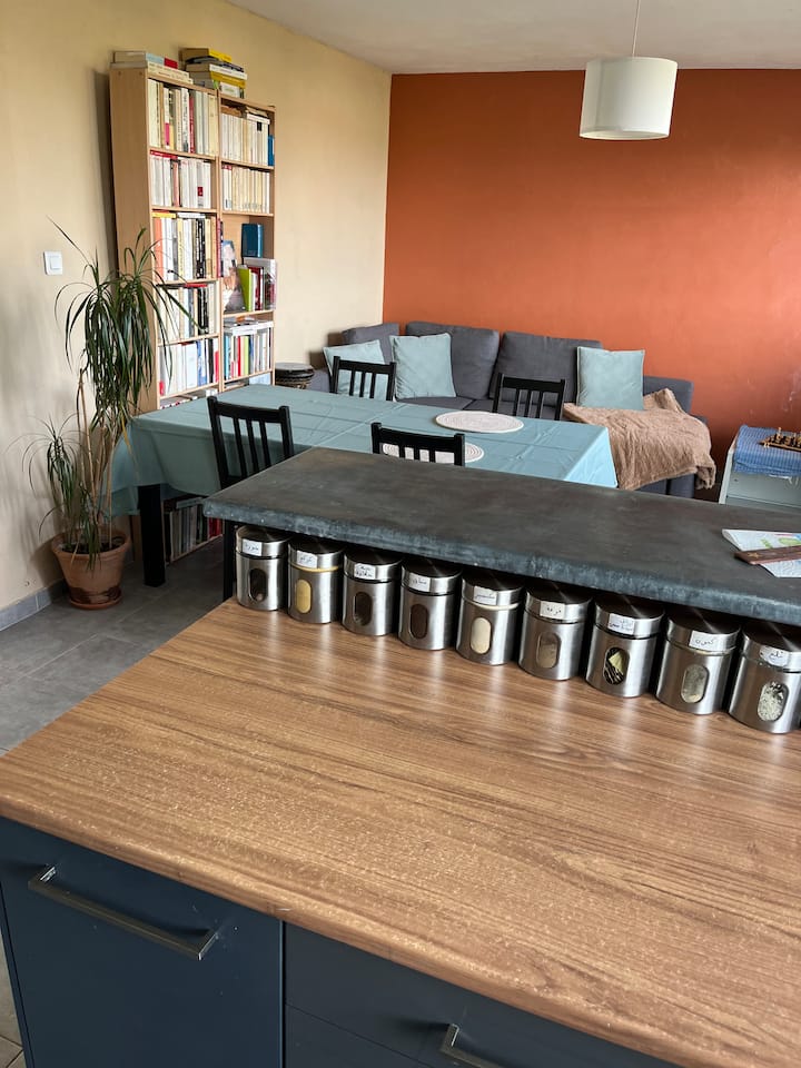 Schiltigheim: Appartement Entier En Résidence. - Schiltigheim