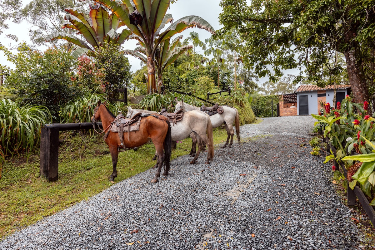 Two horses are seen standing calmly along a gravel path, surrounded by lush greenery and vibrant flowers. Tall tropical plants provide a natural backdrop, while a scenic farmhouse can be glimpsed in the distance, adding to the serene rural atmosphere.