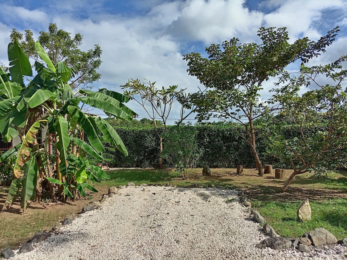 A landscaped outdoor area features lush greenery and trees, including banana and ornamental plants. A gravel pathway is bordered by stones, providing access to different sections. The sky is partly cloudy, allowing natural light to illuminate the garden.