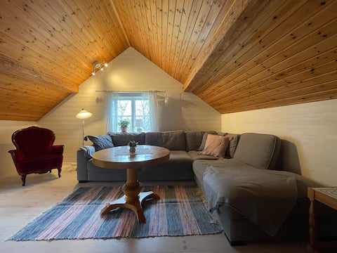 Top Airbnb: Cozy cottage in heart of Sweden in Jönköping