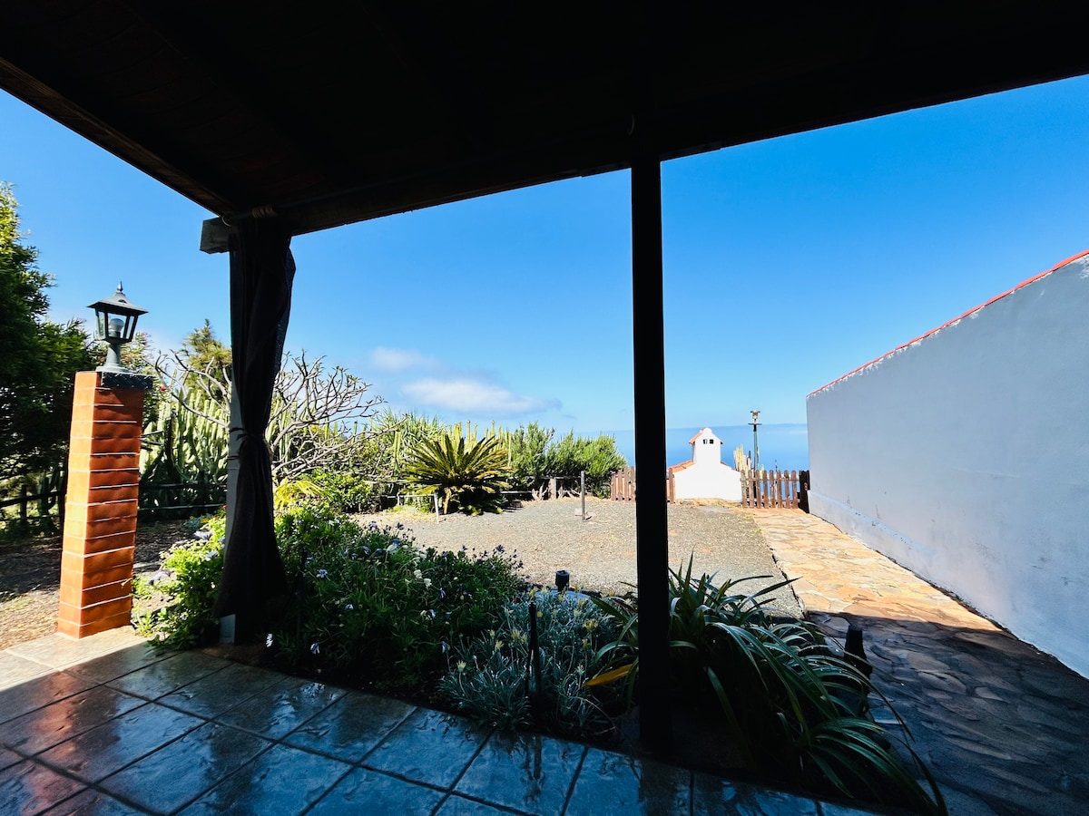 A covered terrace area is visible, showcasing a view of a well-maintained outdoor space with a variety of green plants. A stone pathway leads to a white structure in the distance, with a clear blue sky above. Natural light brightens the scene.