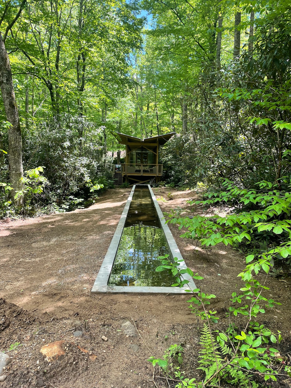 A narrow reflective pool runs alongside a pathway leading to a cabin nestled among lush greenery. Towering trees and dense shrubs frame the scene, showcasing the natural beauty of the surrounding forest. Sunlight filters through the leaves, creating a serene ambiance.